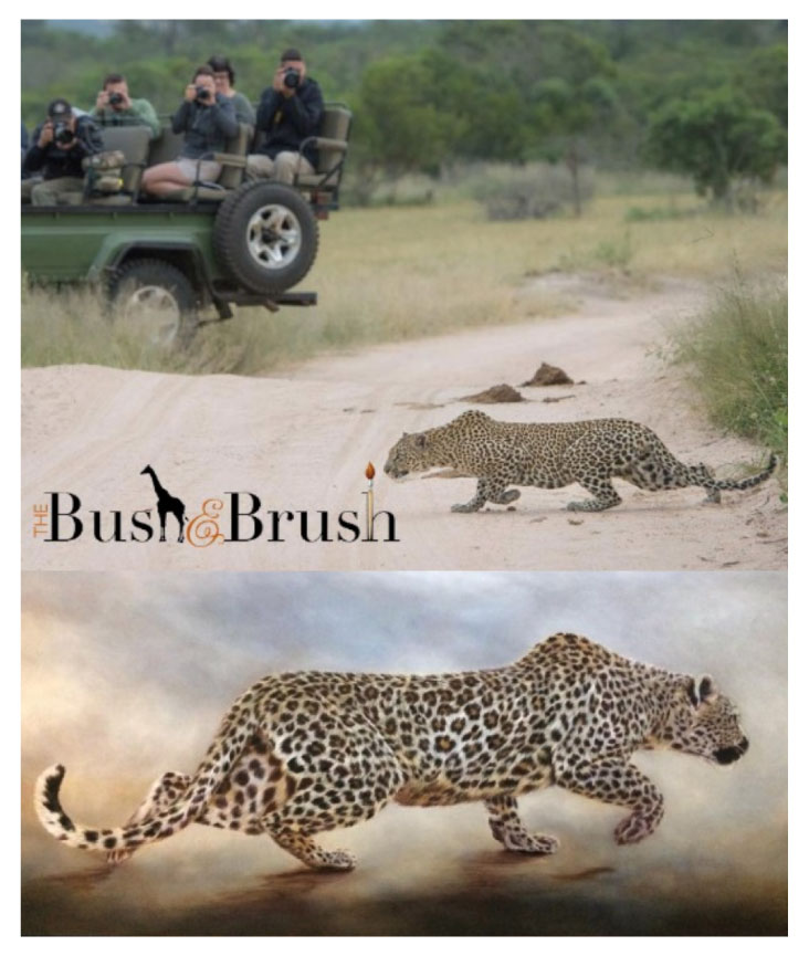 animal-print-shapes-4